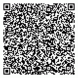vCard 79295673297