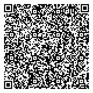 vCard 79295673299