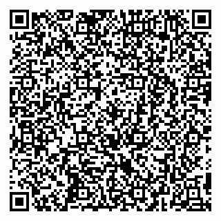 vCard 79295673305