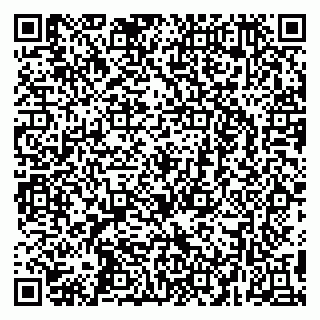 vCard 79295673310