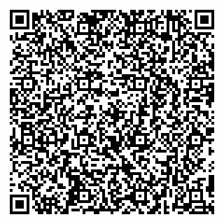 vCard 79295673311