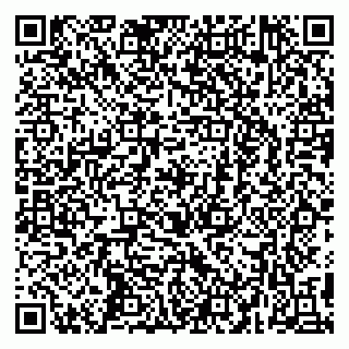 vCard 79295673313