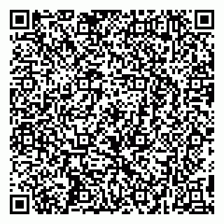 vCard 79295673315