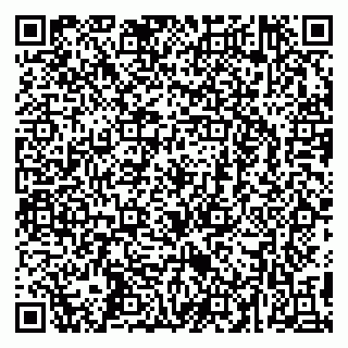 vCard 79295673333