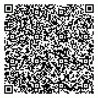 vCard 79295673335