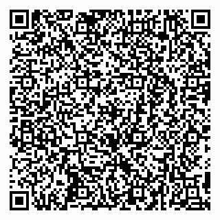 vCard 79295673377