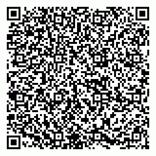 vCard 79295673378