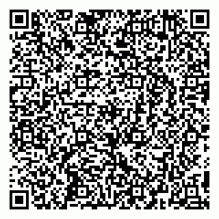 vCard 79295673381