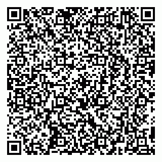 vCard 79295673382