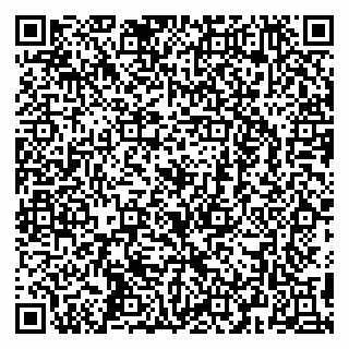 vCard 79295673384