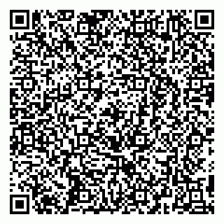 vCard 79295673386