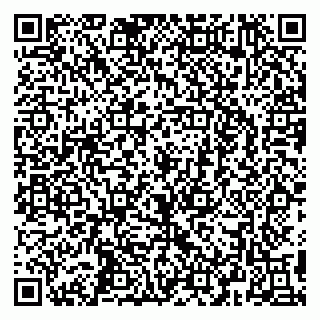 vCard 79295673387