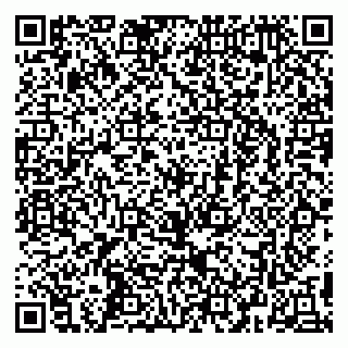vCard 79295673388