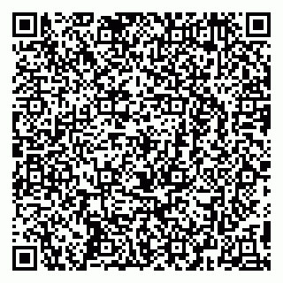 vCard 79295673389