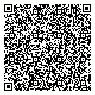 vCard 79295673393