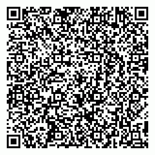 vCard 79295673403