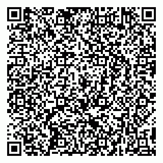 vCard 79295673413