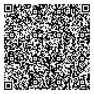 vCard 79295673431