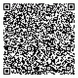 vCard 79295673473