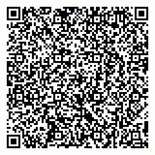 vCard 79295673478