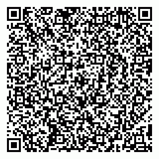 vCard 79295673489