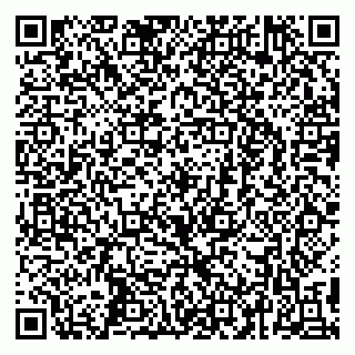 vCard 79295673523