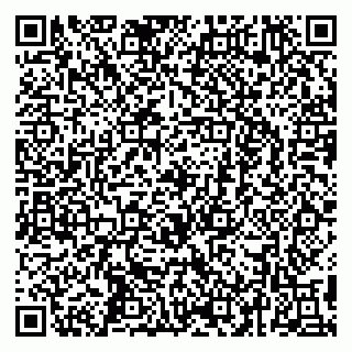 vCard 79295673527