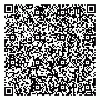 vCard 79295673528