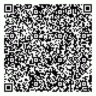 vCard 79295673529