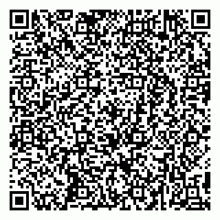 vCard 79295673533