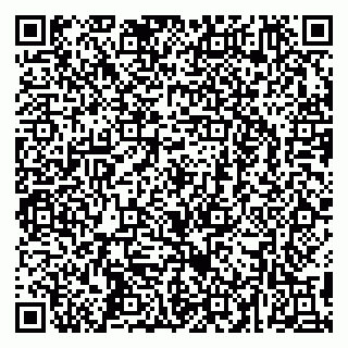 vCard 79295673536