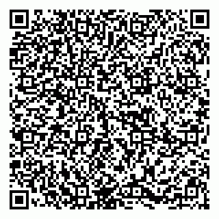 vCard 79295673611