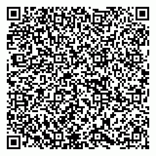 vCard 79295722085