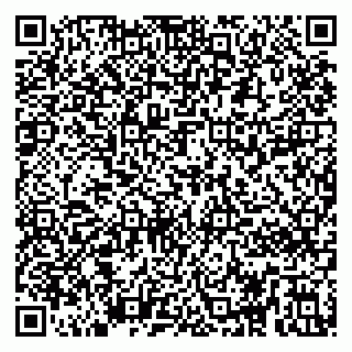 vCard 79295812303