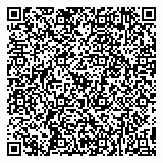 vCard 79295812331