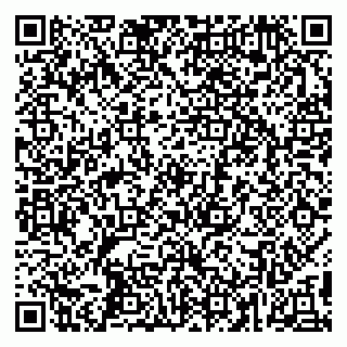 vCard 79296905839
