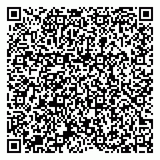 vCard 79297000173