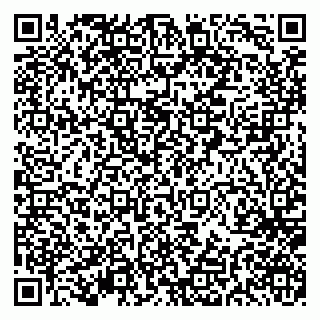 vCard 79297350003