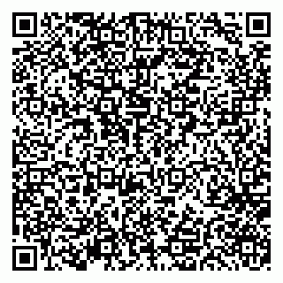 vCard 79297350020