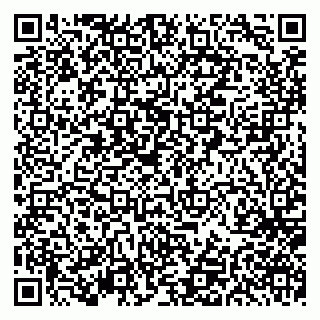 vCard 79297350029