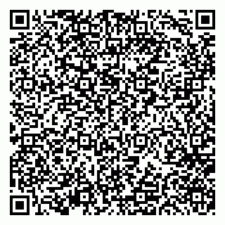 vCard 79297350090