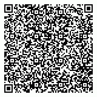 vCard 79297350093