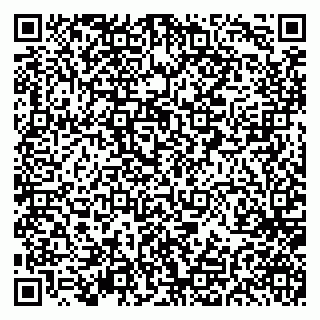vCard 79297350181