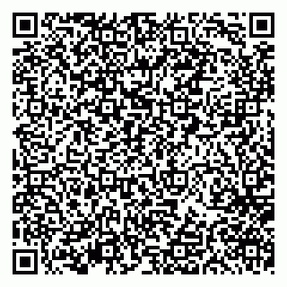 vCard 79297350204
