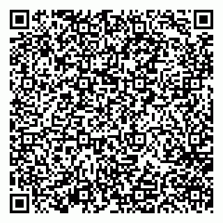 vCard 79297350240