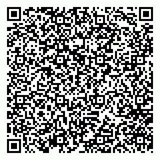 vCard 79297350312