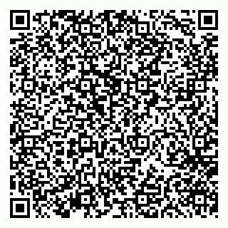 vCard 79297350314