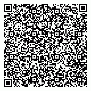 vCard 79297350389