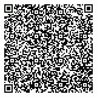 vCard 79297350399