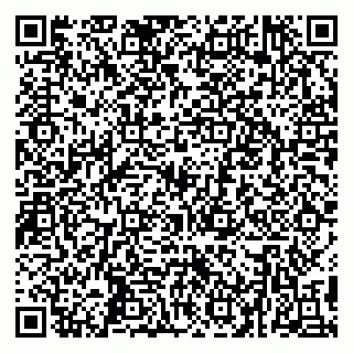 vCard 79299000173